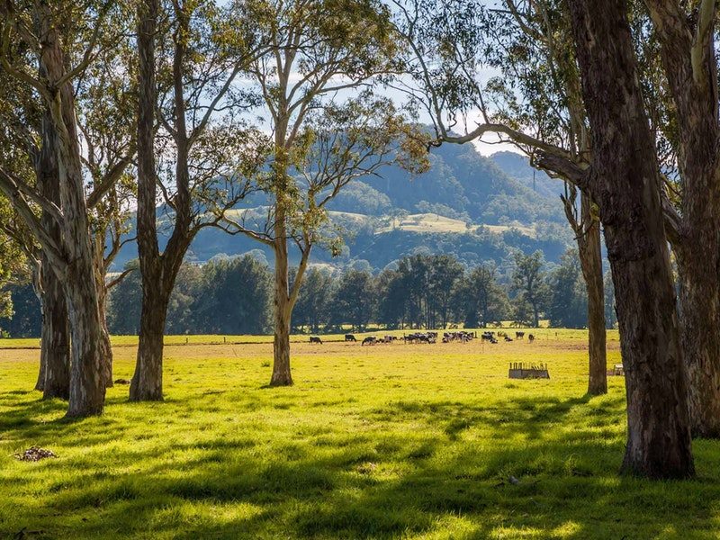 Jim's Antennas Franchise For Sale Southern NSW