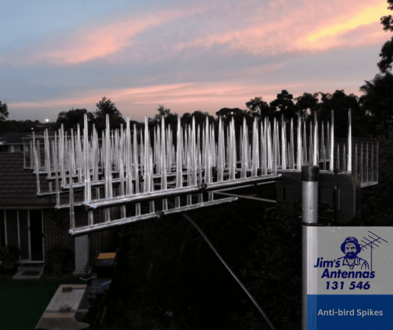 Protect Your Antenna from Unwanted Guests with Anti-Bird Spikes.